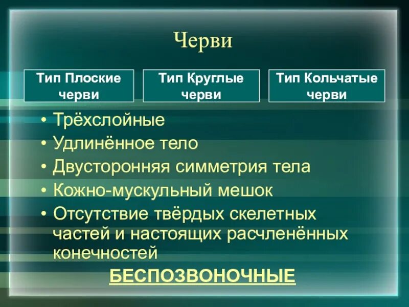 Общие признаки червей. Сравнительная характеристика типов черви. Сходство круглых и кольчатых червей. Общие черты червей.