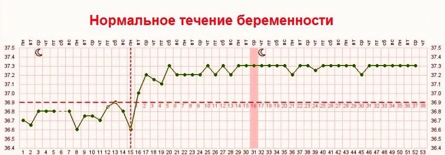 На какой неделе температура. График базальной температуры до задержки. График БТ С беременностью. График базальной температуры при беременности по неделям. График базальной температуры при беременности 3 недели.