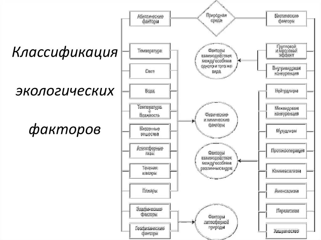 Классификация экологических факторов. Составить схему «классификация экологических факторов. схема классификация экологических факторов с примерами. составьте схему классификации экологических факторов. классификация экологических факторов бжд.