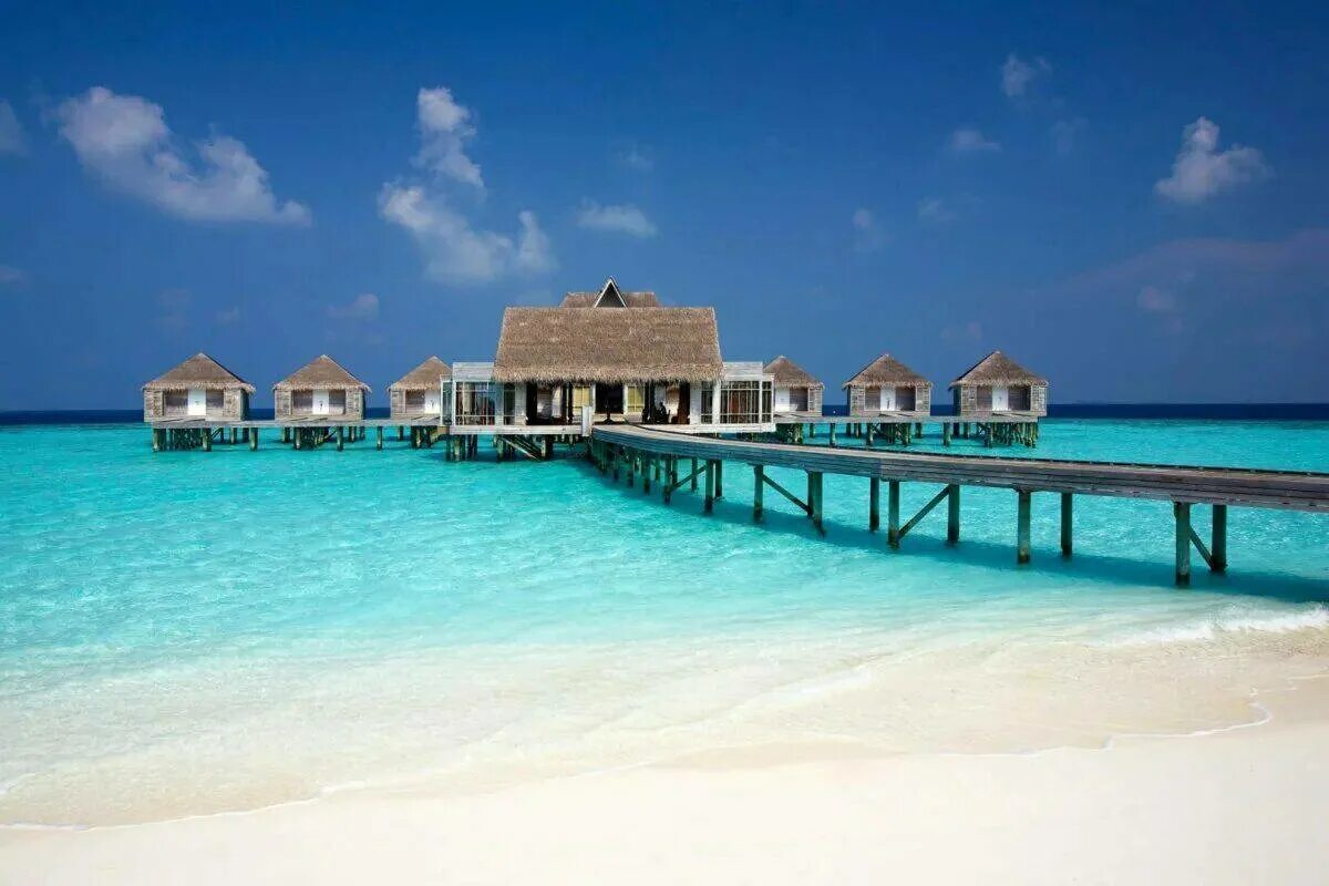 Мальдивы условия. Мальдивы пляж. Мальдивы хитхадху. Баа атолл мальдивы. Мальдивы anantara dhigu.