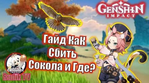 Сбейте сокола