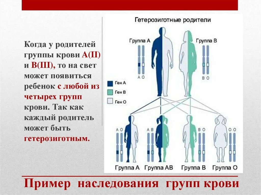 Наследование групп крови. Группа крови ребенка по группе родителей. Группа крови у ребёнка от родителей таблица. Наследственные свойства крови. Наследуемая группа крови от родителей