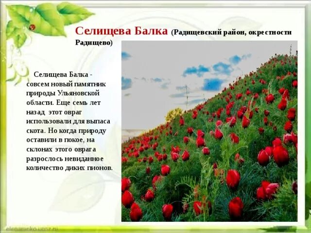 Презентация Особо охраняемые природные территории Ульяновской области - скачать 