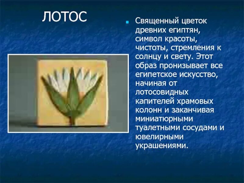 Сесен египетский символ. Цветок символ египта. Символы древнего египта лотос. Лотос символ египта. Цветок символ египта.