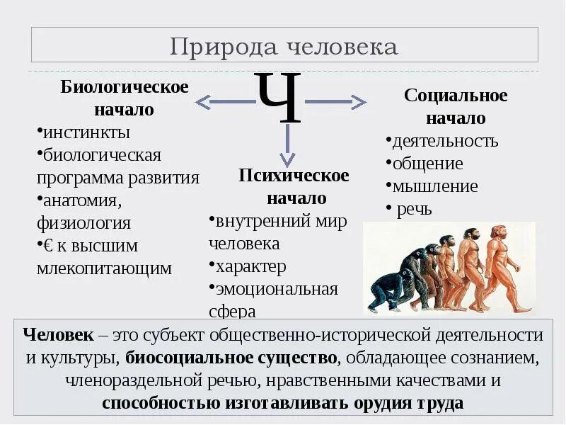 Человек является социальным человеком. Социальная природа человека Обществознание. Биологическая и социальная природа человека. Природа человека биологическое начало социальное начало. Биологическое и социальное в человеке.