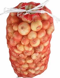 Луки оптом