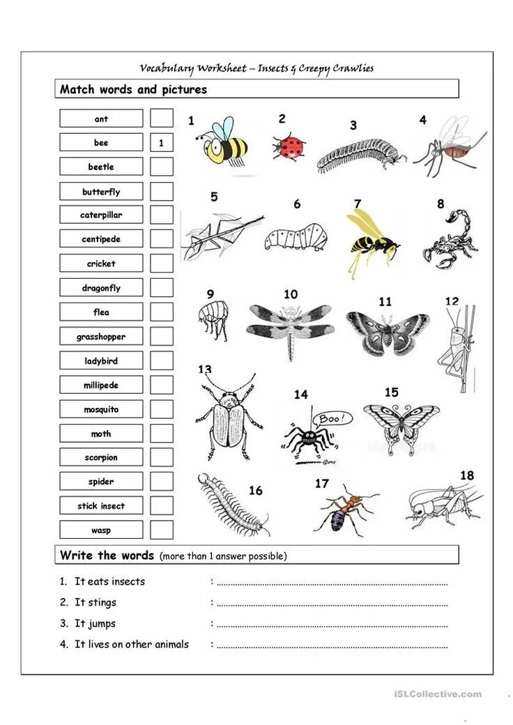 Worksheet насекомые. Английский насекомые задания. Насекомые задания для дошкольников. Насекомые на английском языке задания. Match the words life