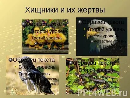 Как пишется слово хищный