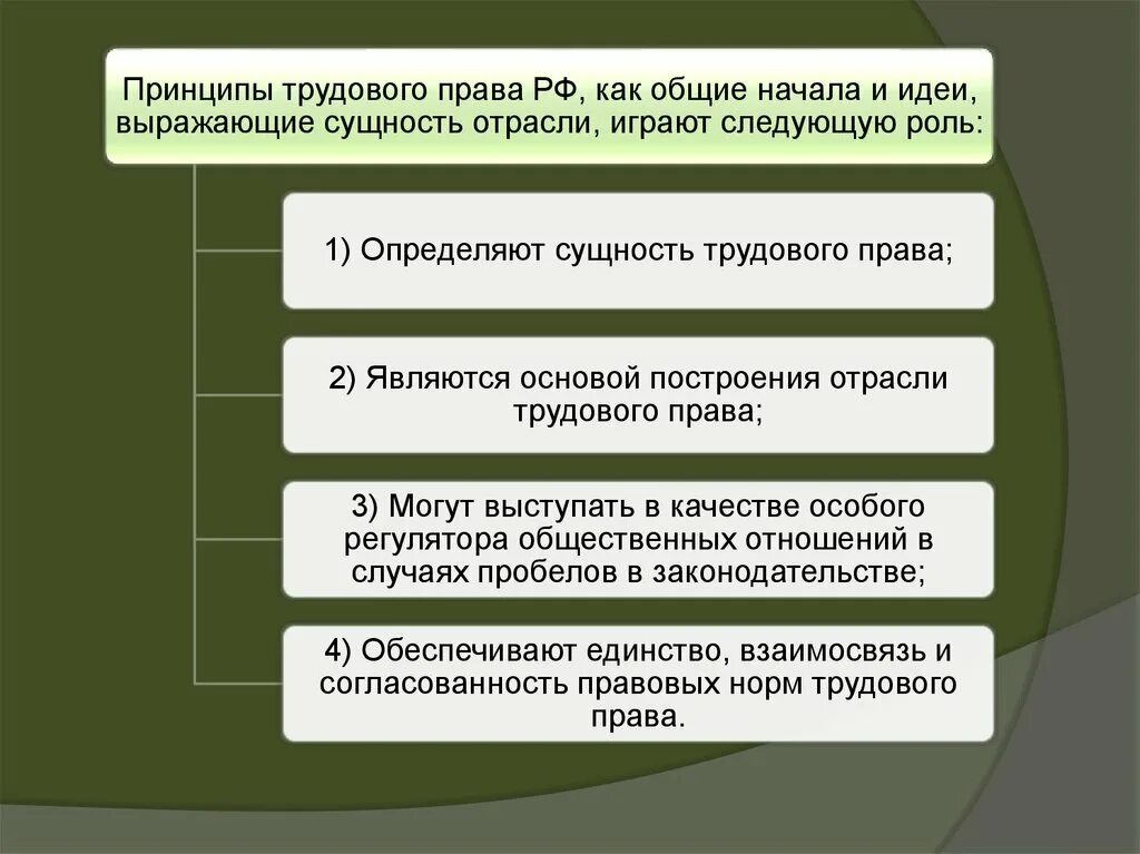 Норма принцип в трудовом праве