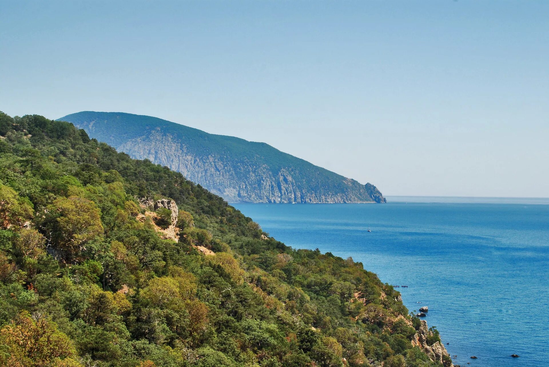 Ялтенский. Горно Лесной заповедник Ялта. Крымский заповедник Ялта. Ялтинский горный заповедник. Ялтинский Горно-Лесной природный заповедник Крым.