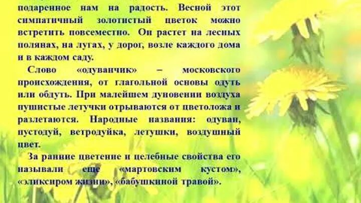 День одуванчика. Всемирный день одуванчика 13 мая. Памятник доброте одуванчик. Всемирный день одуванчика. 13 мая день одуванчика в доу.