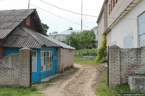 Погода в воложине на 14 дней