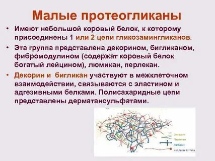 Межклеточного вещества в виде минерализованных пластинок