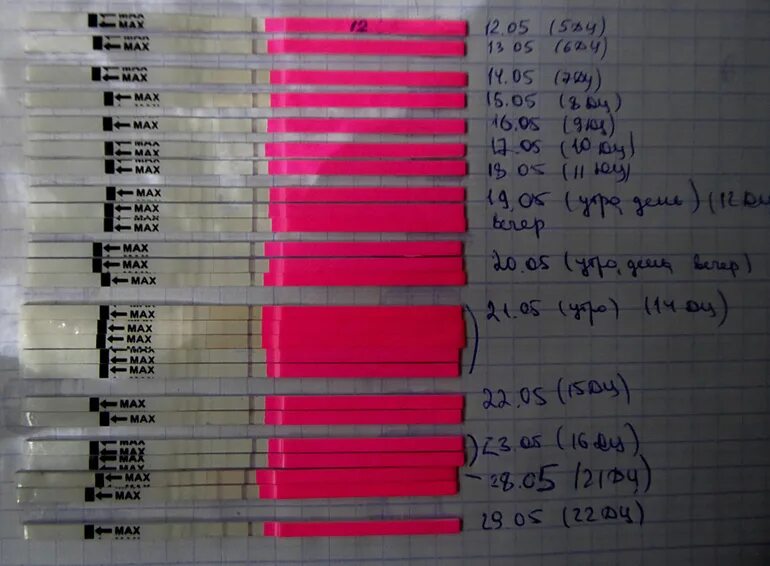 Овуляция цикл 27. Тест на овуляцию. Тест на овуляцию 28 дней цикл. Тесты на овуляцию при цикле 28 дней. Тест на овуляцию 27 дней цикл.