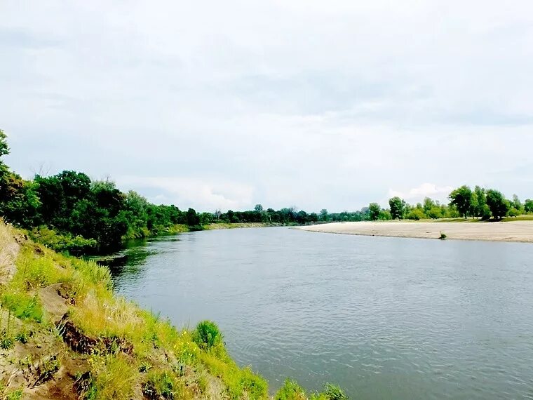 Вода в реке сура. Сура Ульяновская область. Речка Ульяновской области Сура. Татарская Голышевка река Сура. Сура Ульяновская область Тияпино.