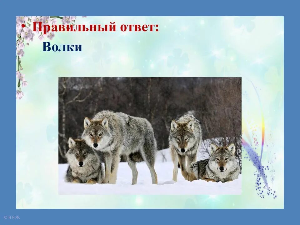 Волков сколько часов. Найди волка. Найди волка на картинке. Волк ответы. Загадка найти волка на картинке.