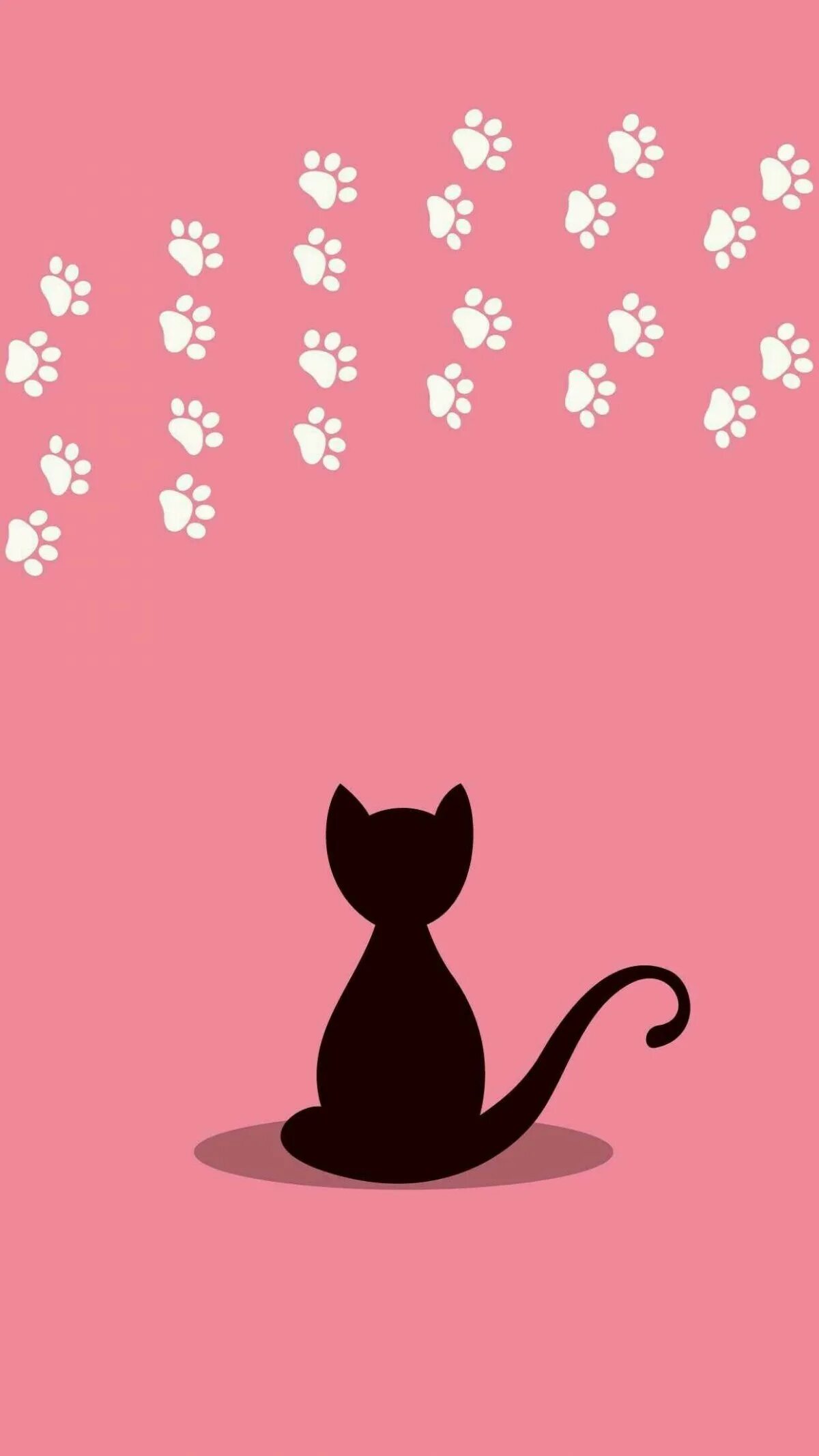 Фон кошачьи лапки. Минималистичные котики. Кошечки на розовом фоне. Фон с котиками. Черно розовую кошку