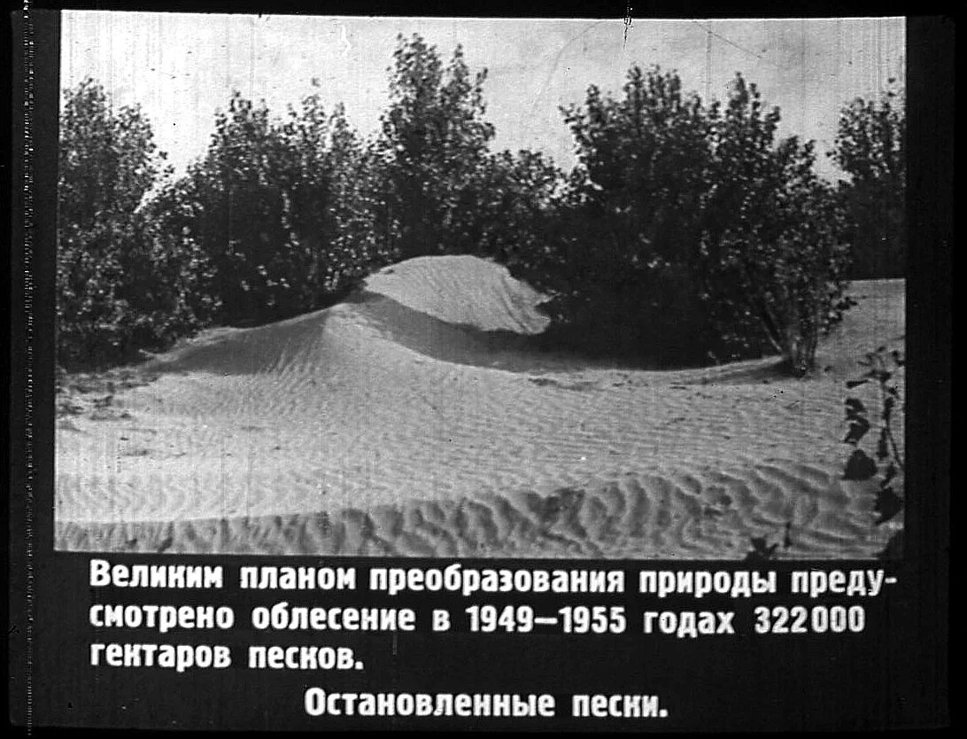 План преобразования. Великий план преобразования природы сталина. сталинский проект преобразования природы. план преобразования природы. сталин план преобразования природы.