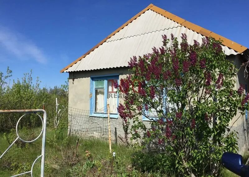 2 расловка саратовская область. Саратовские дачи. Саратовские дачи. Снт чайка. Дача снт энтузиаст в в энгельсе.