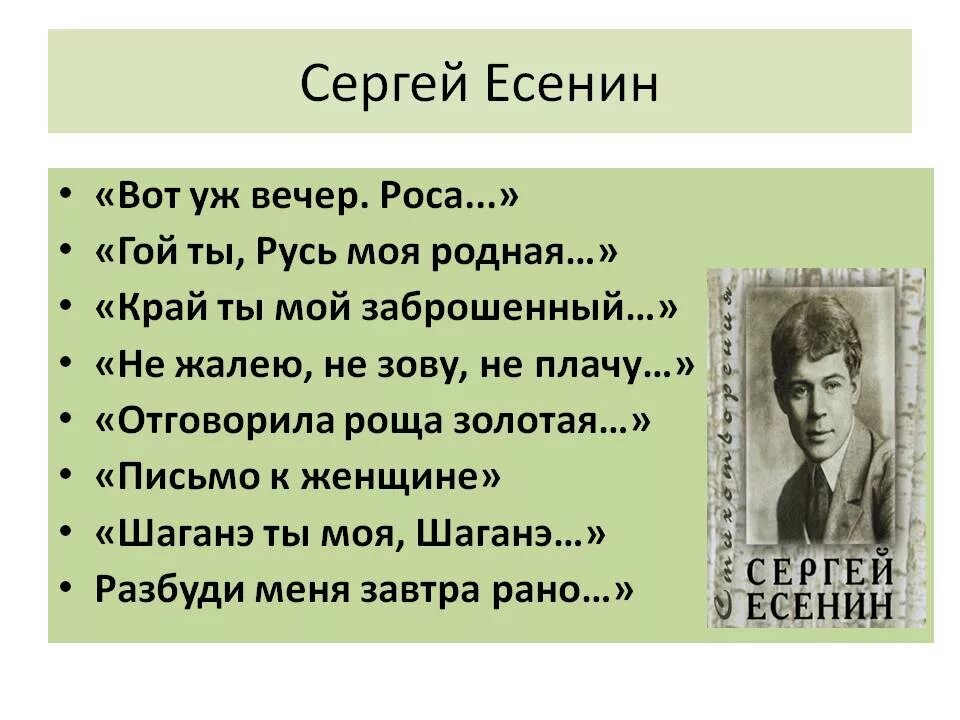 тема родины в лирике есенина. сергей есенин покинул родимый дом. поэма русь советская есенин. стихи есенина спит ковыль. сергей есенин стихи русь советская.