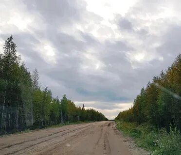 Отдам продам щельяюр