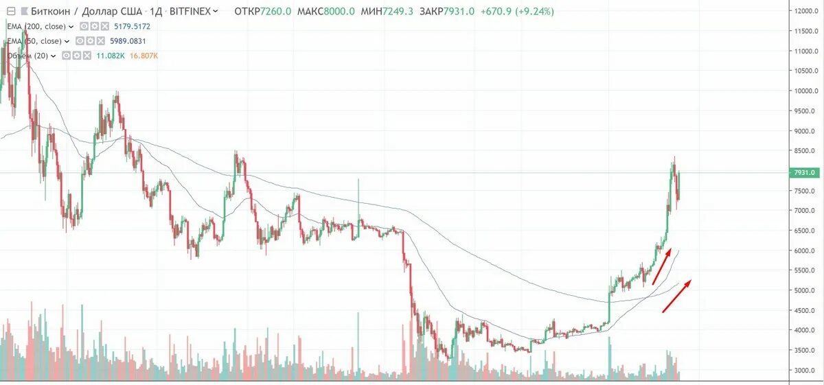 8000 биткоинов в рубли. Когда покупать BTC. 8000 Биткоинов в долларах. Дешевые криптовалюты с потенциалом роста. Баланс биткоина на биржах график.