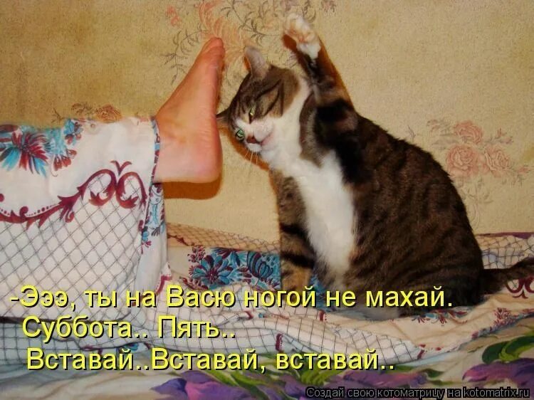 Не хочется идти спать