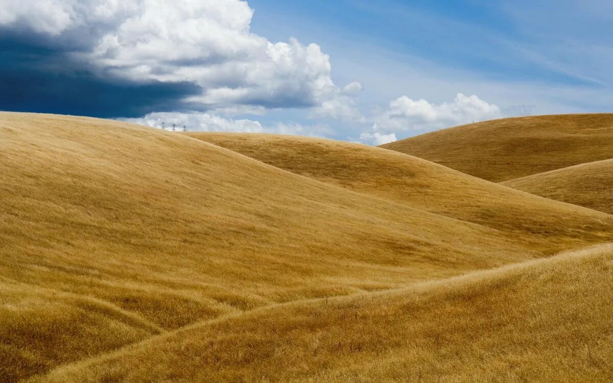 Холмы говорят. Гора пшеницы. Горы зерна. Поле пшеница гора. Горы зерна на поле.