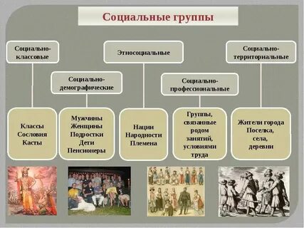 К какой сфере общественной жизни относится сословие