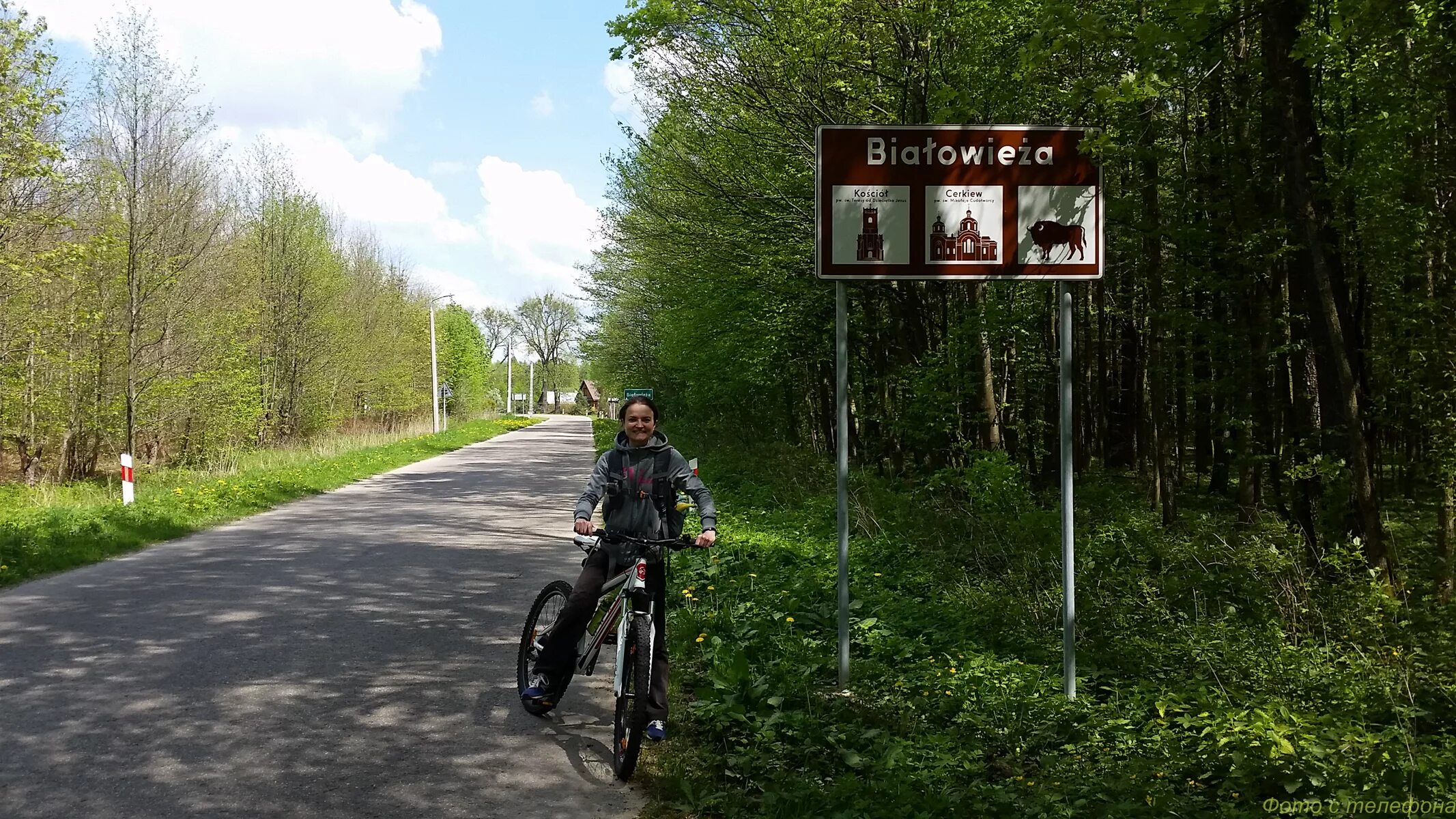 Беловеж Польша. Беловеж городок. Деревня Беловеж Польша. В районе деревни Беловежа,.