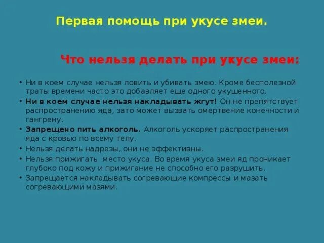 При укусе змеи запрещается. Что нельзя делать при укусе змеи. что нельзя делать при укусах змей?. что нельдя делать пртукусе змет. первая помощь при укусах змеями:.