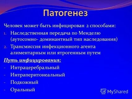 Инфекция реферат