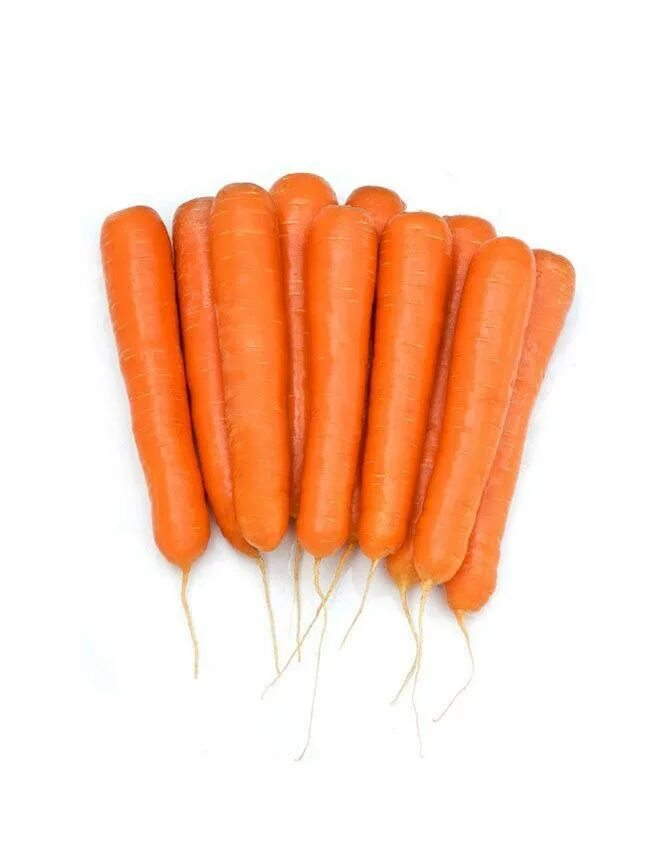 Морковь гибриды. Морковь Октаво f1. Морковь Олимпо f1. Морковь f1 маэстро.