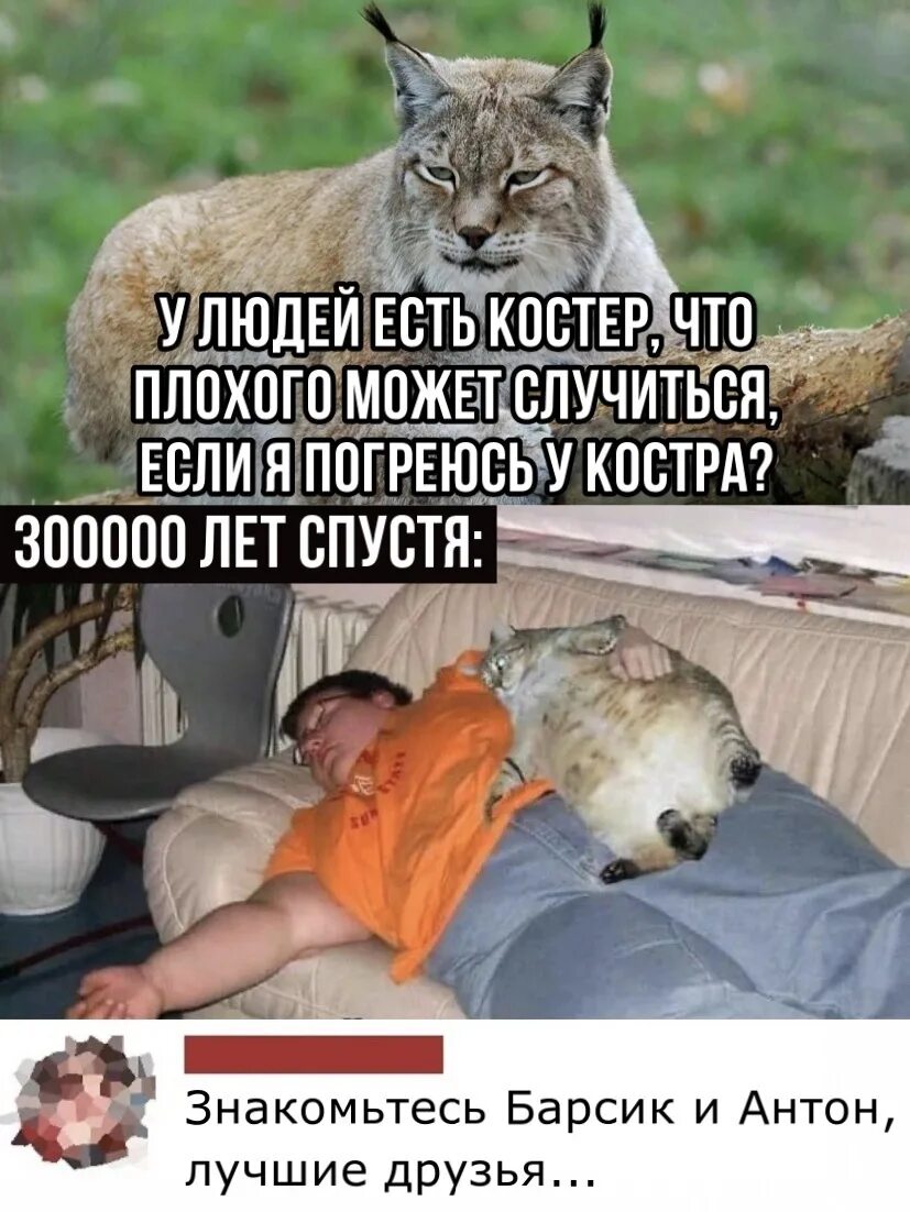 У людей есть огонь погреюсь. Мем кот погреюсь у костра. Мем волк что может случиться. Пойду погреюсь у костра с людьми. Не бывает плохого года