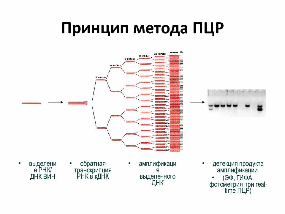 Тестирование методом ПЦР. Схема ПЦР лабораторное исследование. ПЦР рисунок метода. Диагностика ВИЧ метод ИФА.