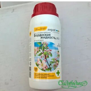 Можно ли бордосской смесью обрабатывать хвойные
