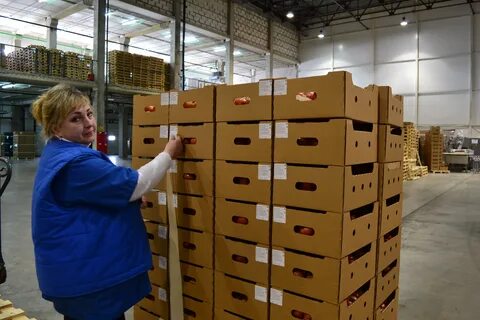 Работа подольск упаковщица