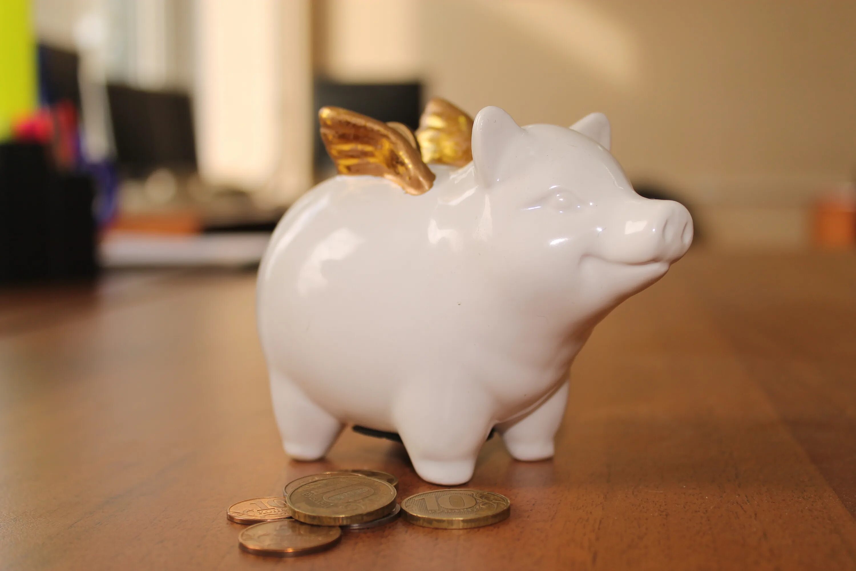 копилка выгод. копилка выгод. карта копилка командор. карта копилка аллея. вклад копилка.