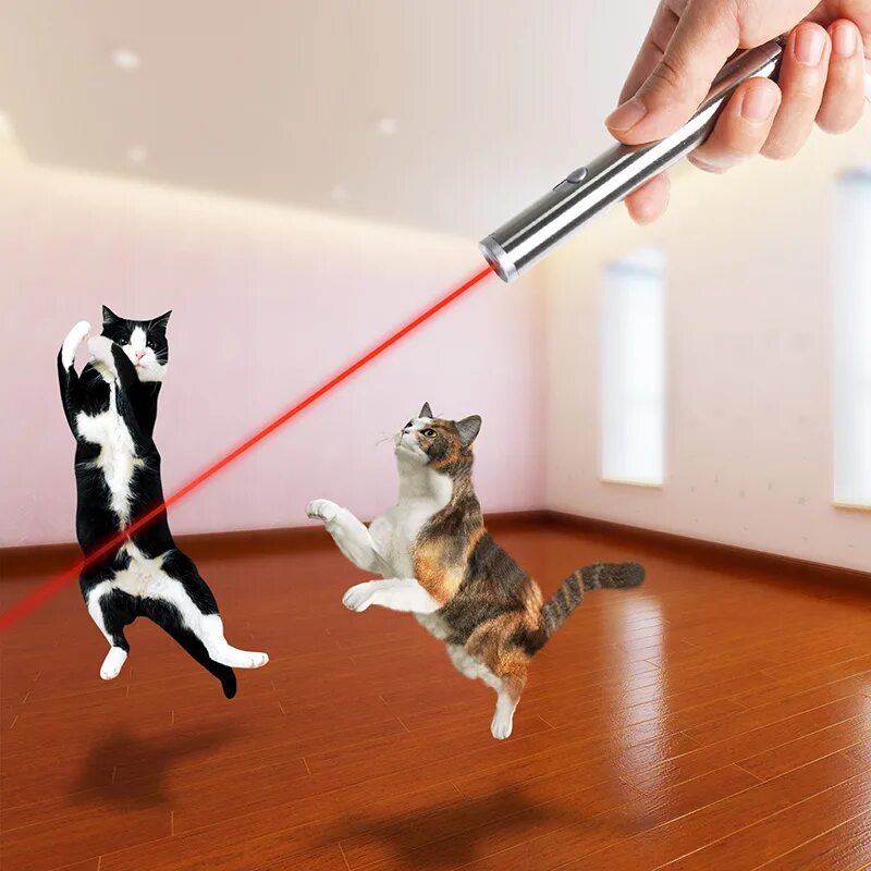 Игра указка. Лазерная указка для кошек. Лазерная игрушка для кошек. Лазер для животных. Лазерная указка для кошек USB.
