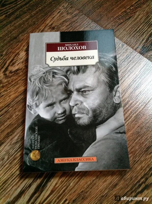 Судьба человека обложка книги. Судьба человека 9 класс читать