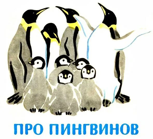 Чтение рассказов про пингвинов снегирева в старшей. Снегирев про пингвинов. Рассказа г. Снегирёва «про пингвинов». Чтение рассказов г. Снегирева «про пингвинов»..