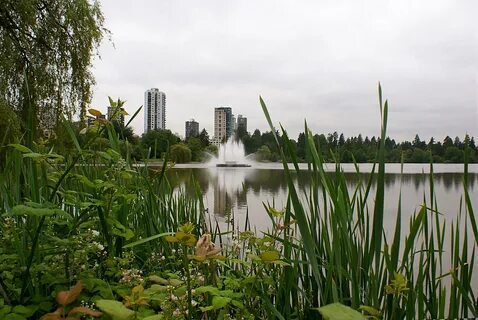 Lost lagoon