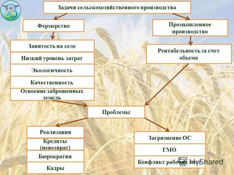 задачи производства с/х продукции. цели и задачи сельскохозяйственного производства. основные задачи кооперации. основные задачи растениеводства. задачи и цели стратегии развития.