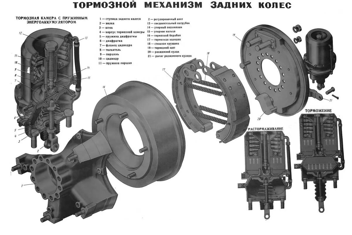 Тормоз камаз евро 5. Тормозной механизм колеса КАМАЗ 4310. Тормозной механизм заднего колеса КАМАЗ 6520. Тормозной механизм заднего колеса КАМАЗ 43118. Тормозной механизм колеса КАМАЗ 43118.