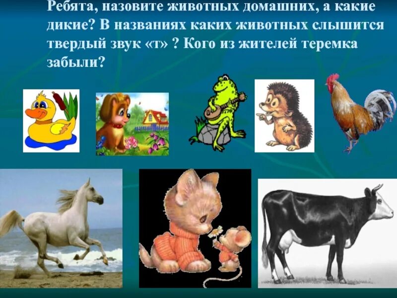 Название какого животного означает слово ayuv
