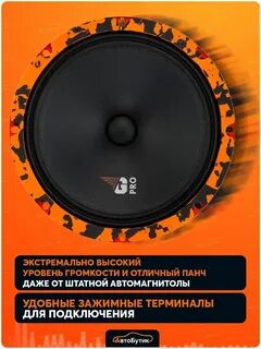 Dl audio gryphon pro 200