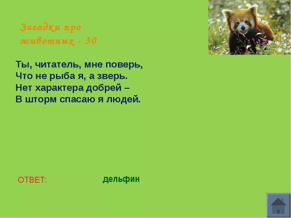 Трудная загадка про. Загадки о животных. Загадки про животных сложные. Загадки на тему животные. Загадки про зверей.