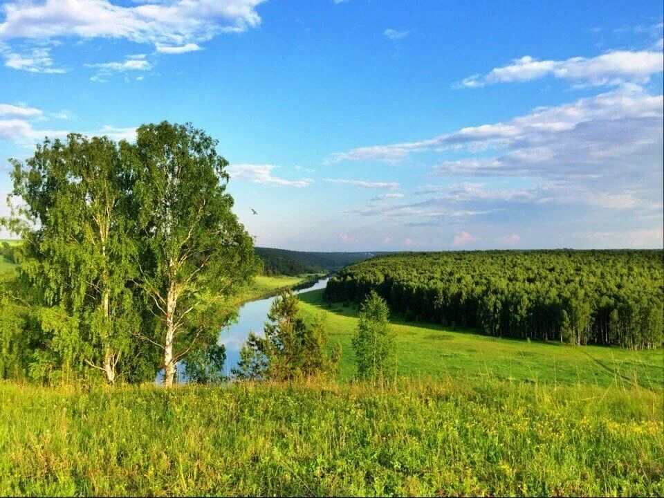 Родной край нижегородской области. Вятский край Киров. Природа Кировской области. Кировская область Омутнинский район природа. Природа Вятки.