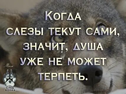 Что делать если слезы без причины