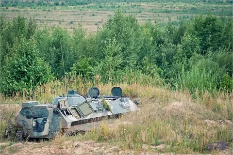 Полигон мулино